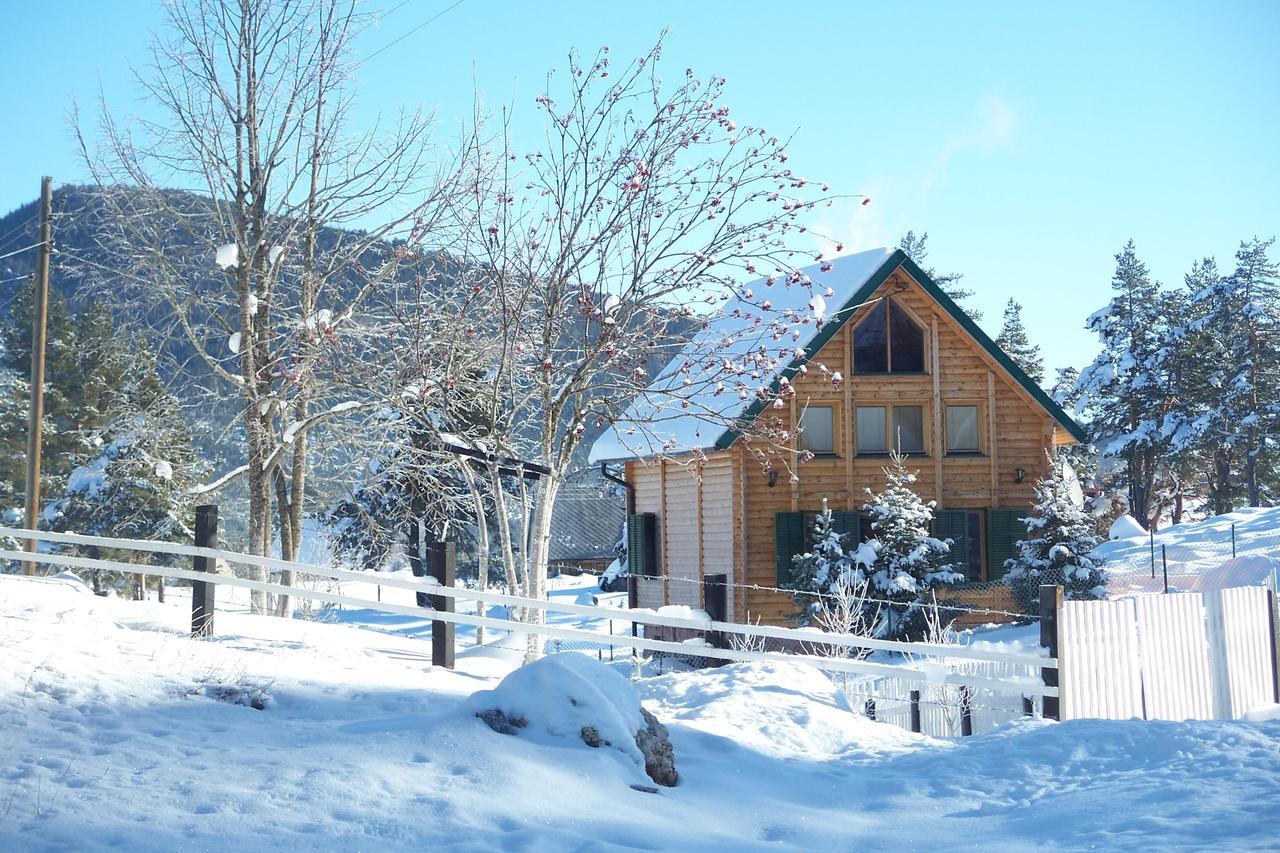 Ferienwohnung Kuca U Borju - House In Pines Žabljak Exterior foto